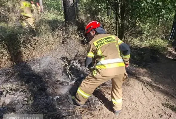 Bardo: interwencje strażaków ochotników – pomoc medyczna, pożar lasu i gniazdo szerszeni