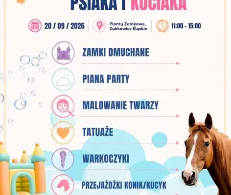 V Festyn dla Psiaka i Kociaka w Ząbkowicach Śląskich – już w najbliższą niedzielę