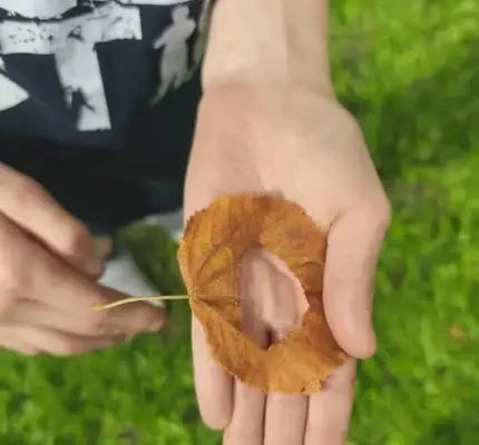 Dzień Kropki w ośrodku: kreatywna zabawa z kropeczkami trwa