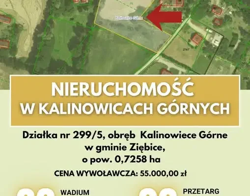 Gmina Ziębice sprzedaje działkę w Kalinowicach Górnych. Wadium do 30 września