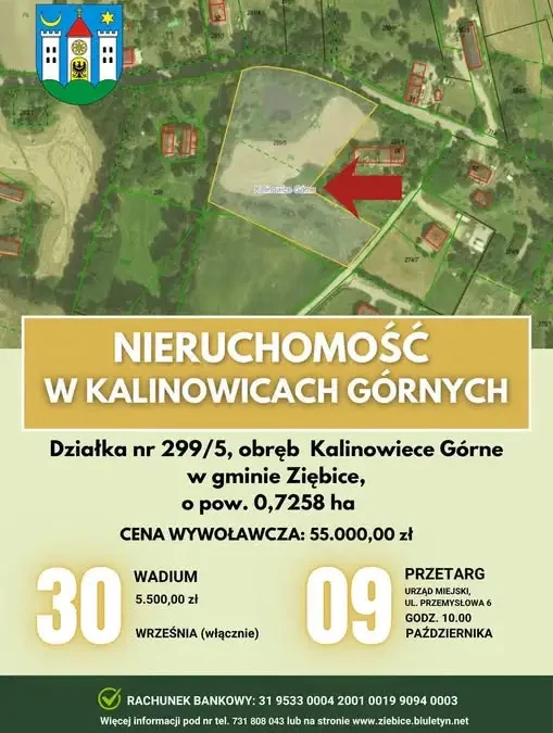 Gmina Ziębice sprzedaje działkę w Kalinowicach Górnych. Wadium do 30 września