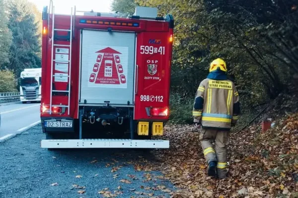 Fałszywy alarm na DK46: plama substancji ropopochodnej w Mąkolnie
