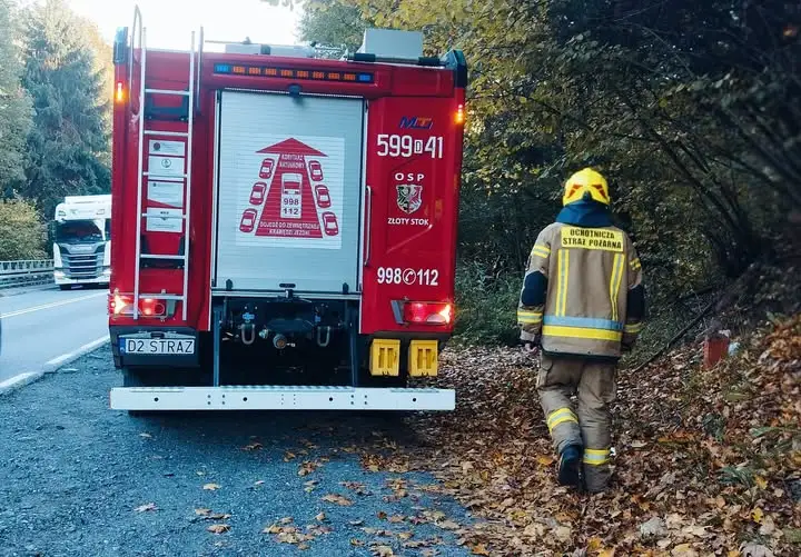 Fałszywy alarm na DK46: plama substancji ropopochodnej w Mąkolnie