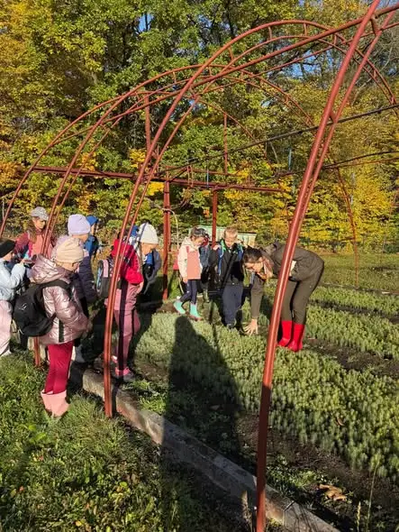 Klasa 1c odkrywa tajemnice lasu – wycieczka do Szkółki Leśnej Wilcza