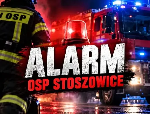 Złamane drzewo nad drogą w Stoszowicach – interwencja OSP