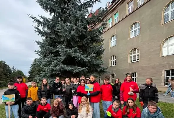 Uczniowie z Ząbkowic Śląskich zasadzili żonkile dla hospicjum